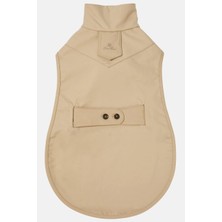 Loro Piana My Doggie Pamuklu Köpek Mont Bej