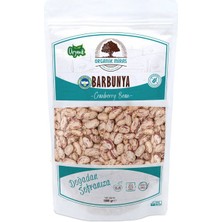 Organik Miras Organik Barbunya 1kg