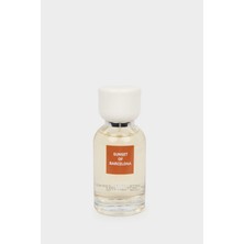 DeFacto Kadın Amber - Aromatic 100 ml PARFÜM G5850AXNS