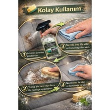 Terlans Parfümlü Araç içi Koltuk Halı Temizleyici Leke Sökücü 500 ml Car Upholstery Cleaner