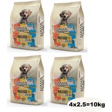 Mamavita Tavuk Etli Yavru Kuru Köpek Maması 10 kg (4x2.5)