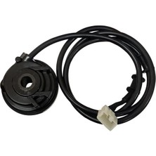 Caddemoto Km Rediktörü Dijital Blueberry-Turismo