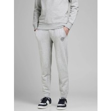 Jack & Jones Jpstgordon Jjshark Sweat Pants At Noos Gri Erkek Eşofman 12165322-Light