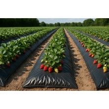 Vatan Plastik 12 Aylık Malç Naylonu Uv-Ab Katkılı En 120 cm 100 Micron