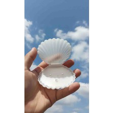 Lazerus Cnc Markalama Istiridye Tasarım Mumnikah Hediyeliği – Kurdeleli Kutulu Konsept