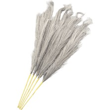 Lara Decor Gri Pampas Tüy Demeti 5'li