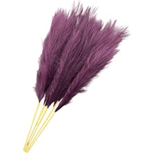 Lara Decor Mor Pampas Tüy Demeti 5'li
