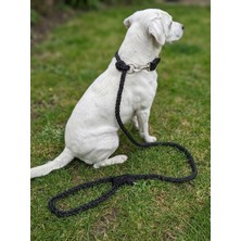 Balkonda Köpek Gezdirme Kayışı & Boyun Tasması Tek Ürün 6 cm Çap Floş Ip