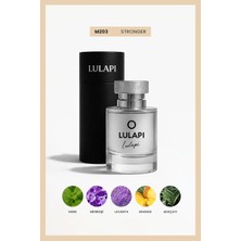 Lulapi EDP M203 Erkek Parfüm 50 ml