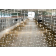 Kuş-Kedi-Balkon Güvenlik Filesi | 1mm Göz Aralıklı | Kare Kesim-Polyester