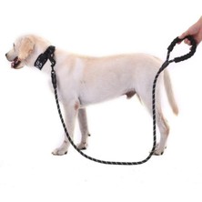 Skygo Köpekler İçin Gezdirme Tasması Reflektörlü 130 cm Halat Orta ve Büyük Boy Köpekler İçin Siyah