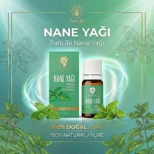 Panlife Nane Yağı 10 ml  %100 Saf Analiz Sertifikalı  ( Markamız Eczacı Kuruluşudur.)