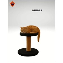 Catmozz Londra Kedi Tırmalama Oyuncağı