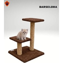 Catmozz Barselona Step Kedi Tırmalama Oyuncağı ve Evi