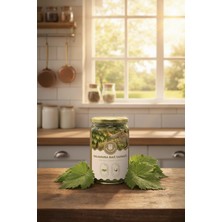 Antep Pazarı Salamura Bağ Yaprağı