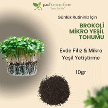Pauls Micro Farm Brokoli Mikro Yeşil Tohumu – Evde Filiz Yetiştirme – 10gr