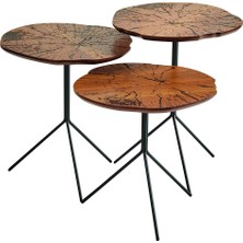 Levent Mobilya ve Aksesuar Shiny Zigon Sehpa