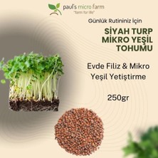 Pauls Micro Farm Siyah Turp Mikro Yeşil Tohumu – Evde Filiz Yetiştirme – 250 g
