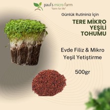 Pauls Micro Farm Tere Mikro Yeşil Tohumu – Evde Filiz Yetiştirme – 500 g