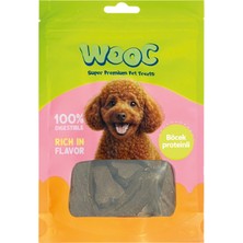 Wooc Böcek Proteinli Köpek Ödülü