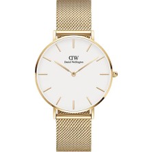 Daniel Wellington Petite Evergold DW00600346