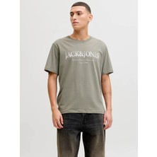 Jack & Jones Jjdevın Daytona Prınt Tee Gri Erkek T-Shirt 12290173