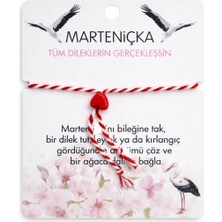 Stainless Stell Marteniçka Şans Bilekliği 3lü Set