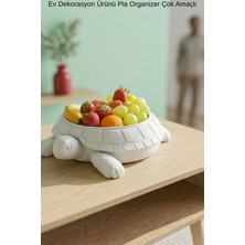 Oxyteez Dekoratif Kaplumbağa Organizer Çok Amaçlı Masaüstü Kase Modern Ev Dekor Objesi