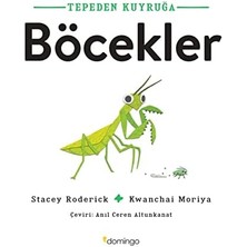 Pucutun Tepeden Kuyruğa - Böcekler