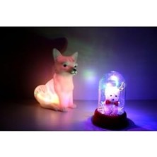 Pucutun Işık Kasabası(79) Renkli Fanusta Ayıcık ve Rcb Kar Tilkisi Gece Lambası LED Rcb