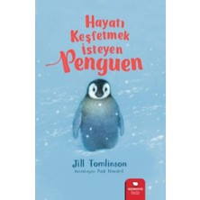 Pucutun Hayatı Keşfetmek Isteyen Penguen
