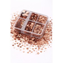 Born Pretty Rose Gold Metallic Mix Nail Glitter Box
