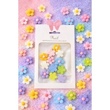 Born Pretty Pastel Daisy Flower 3D Nail Charm Set – Color Mix