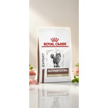 Petneed Royal Canin Gastrointestinal Fibre Response Kedi Maması 2 kg