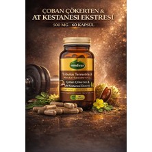 Mindivan Çoban Çökerten At Kestanesi Macun 420G