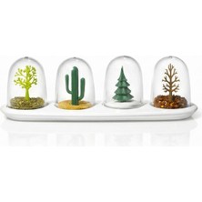 Twin Store 4 Mevsim Temalı Tasarım Baharatlık Seti - Dekoratif Ağaç ve Kaktüs Figürlü Standlı Tuzluk Biberlik