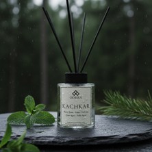 Çam & Sedir Ağacı Yüksek Yayılımlı Çubuklu Oda Kokusu 100ML - Odrius Kachkar