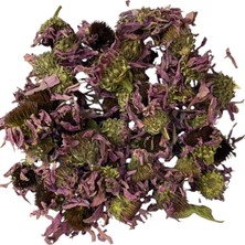 Evimdeyokyok Kirpi Otu - Ekinezya 1kg