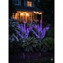Dream Plus Lavanta Buket Solar Güneş Enerjili Lavanta Buketi Bahçe Aydınlatma Saksı Işığı Mor Işık 2 Adet