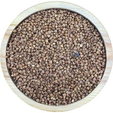 Evimdeyokyok Kavrulmuş Karabuğday 1kg