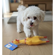 Kotenart Kedi Köpekler Için Sesli Bağıran Öten Tavuk Horoz Civciv Evcil Hayvan Oyuncağı