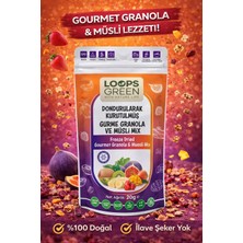 Loopsgreen Dondurularak Kurutulmuş Gurme Gronola ve Musli Meyve Mix 20GR