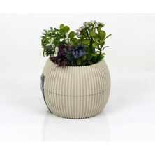 Toyigoo Mercan Saksı 11.5X12 cm 0.70 Lt TYG-84037RS