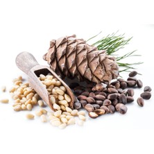 Toyigoo Çam Fıstığı Deluxe Seri Organik Lezzetli 50 gr TYG-84037RS