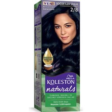 Toyigoo Naturals Saç Boyası Böğürtlen Siyahı 2/8 TYG-84037RS