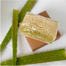 Toyigoo Doğal Kabak Lifli Alovera Sabunu TYG-84037RS