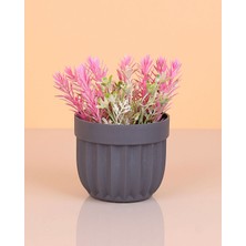 Toyigoo Çizgili Saksı Dikenli Çiçek ROYALEKS-5781 TYG-84037RS