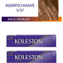 Toyigoo 2 Adet Single Tüp Boya Saç Boyası Kışkırtıcı Kahve 5/37 TYG-84037RS