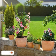 MarkEntegra Balkon Bitkileri Için Pratik Ekim Seti