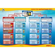 MarkEntegra Kaliteli Catappa Yaprağı, M Boyut (18 Cm) - 10 Adet